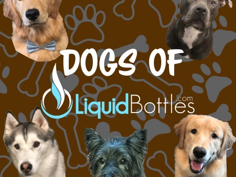 Dogs of Liquid Bottles 